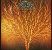 Van Der Graaf Generator
