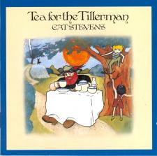 Cat Stevens