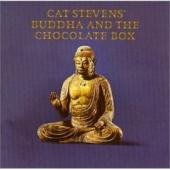 Cat Stevens